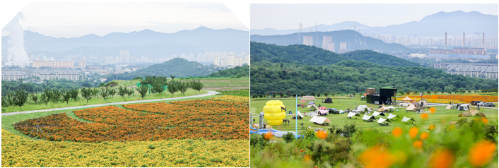 2024第二届梦想祈福跑(赛事规程)