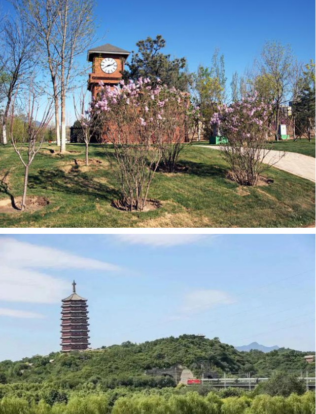 全民健康跑系列活动-2024京西赏花长跑节(赛事规程)（8）
