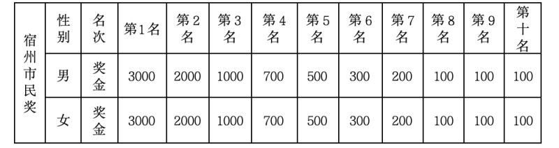 2024宿州马拉松暨长三角·企业家马拉松® （宿州站）(赛事规程)（6）