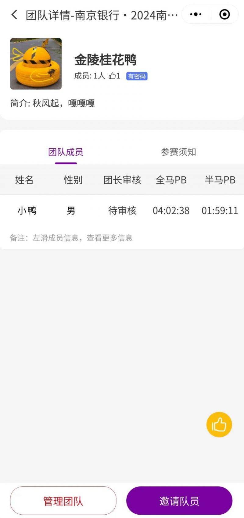 2024南京马拉松跑团赛中赛比赛规则（3）