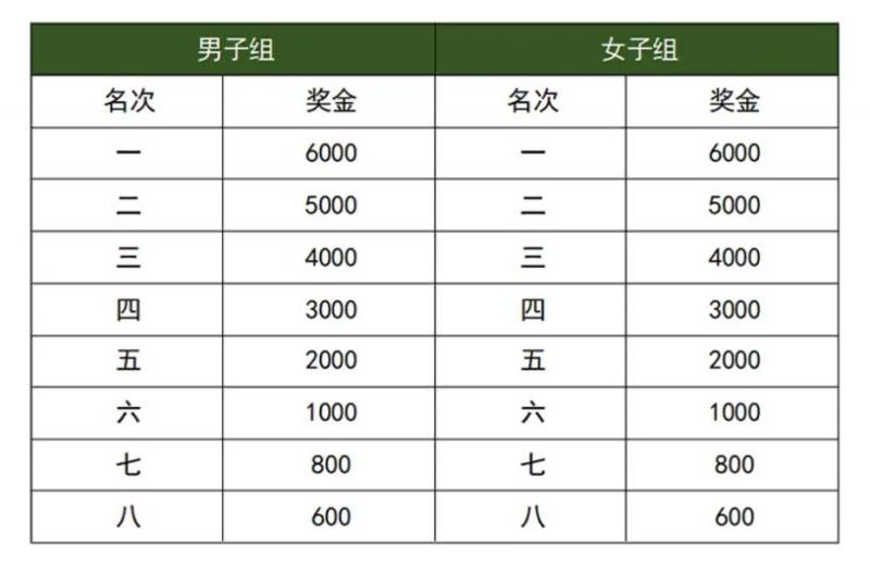2025湛江徐闻马拉松比赛奖励多少钱