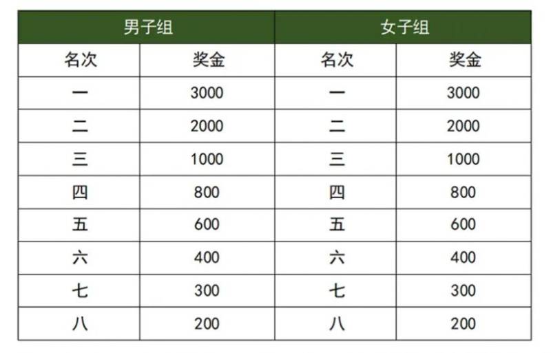2025湛江徐闻马拉松比赛奖励多少钱（2）