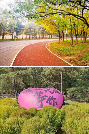 锐进四季-2025奥森元旦迎新跑(赛事规程)（9）