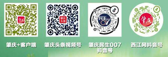 2024年肇庆马拉松比赛直播观看入口(电视端+手机端) 2024年肇庆马拉松比赛直播观看入口(电视端+手机端)