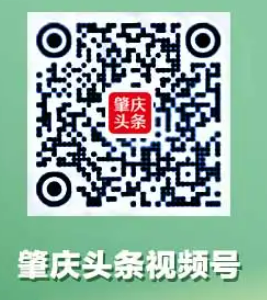 2024年肇庆马拉松比赛直播入口+回放入口（4）