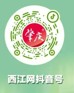2024年肇庆马拉松比赛直播入口+回放入口（6）