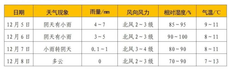 启迪药业2024衡阳马拉松比赛那天天气怎么样？