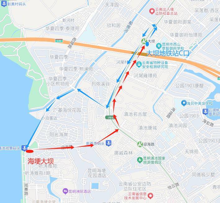 2024上合昆明马拉松选手可以免费坐公交吗？（8）