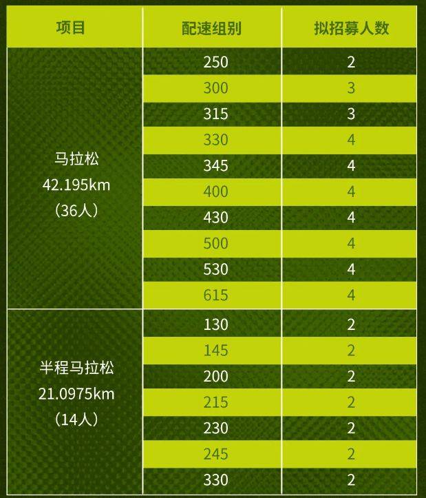 2025武汉马拉松领跑员招募人数+条件+时间