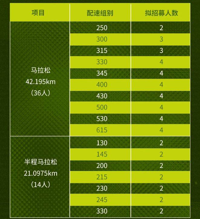 2025汉马官方领跑员怎么报名？