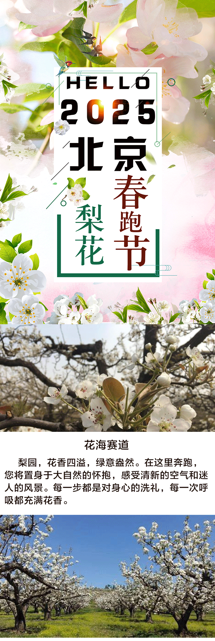 HELLO2025北京梨花春跑节(赛事规程)