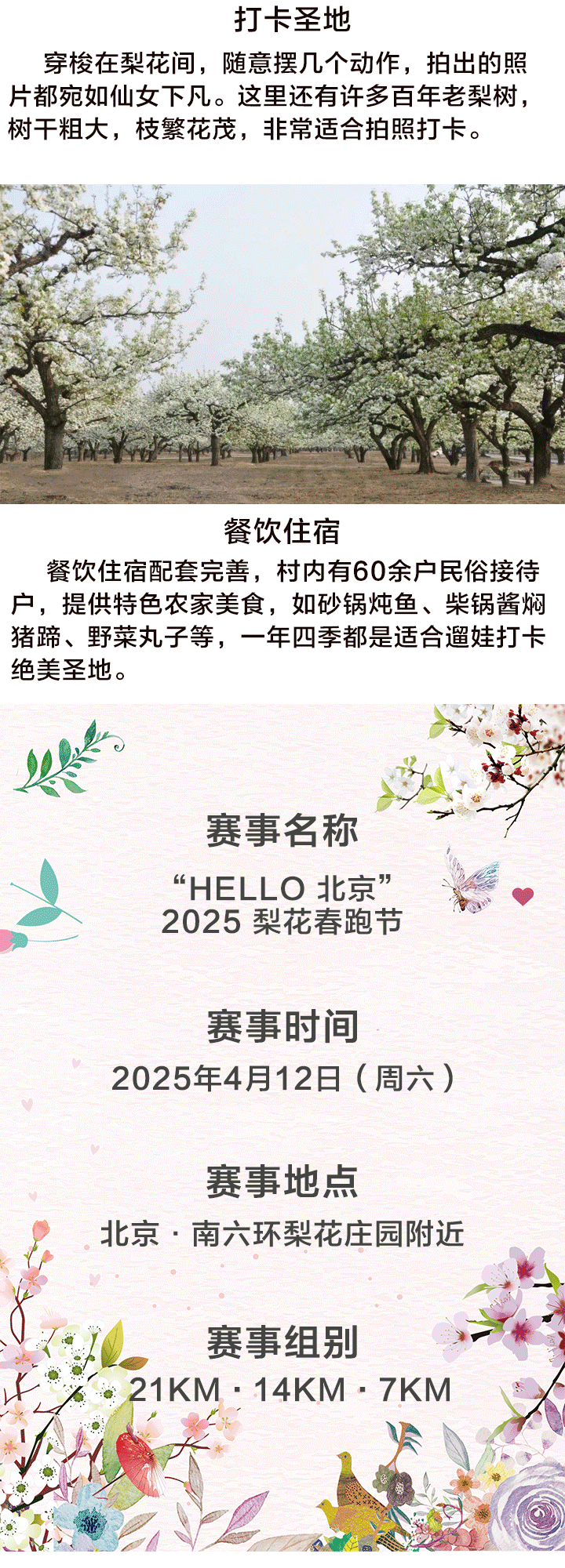 HELLO2025北京梨花春跑节(赛事规程)（2）