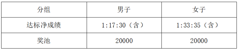 2025重庆大足龙水湖半程马拉松(赛事规程)（6）