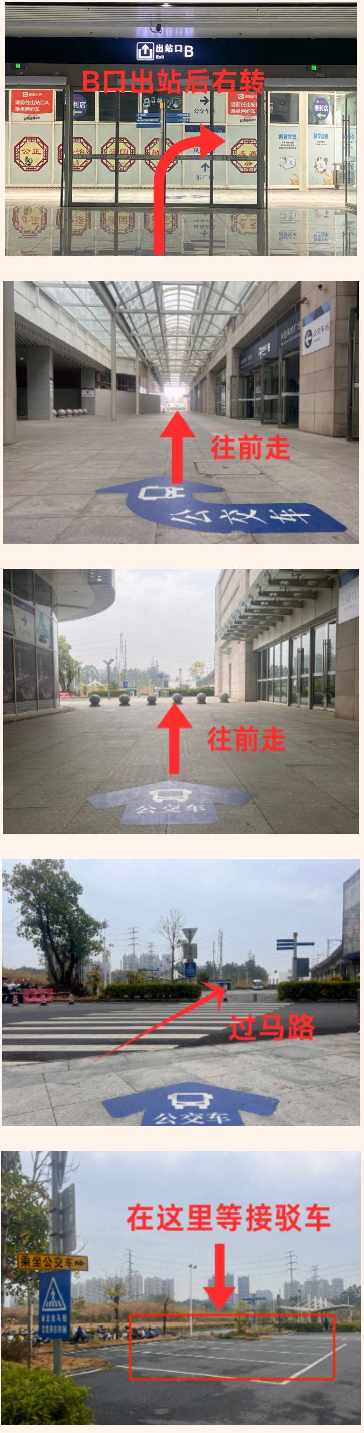 2025年清远马拉松参赛物资在哪领取？（5）