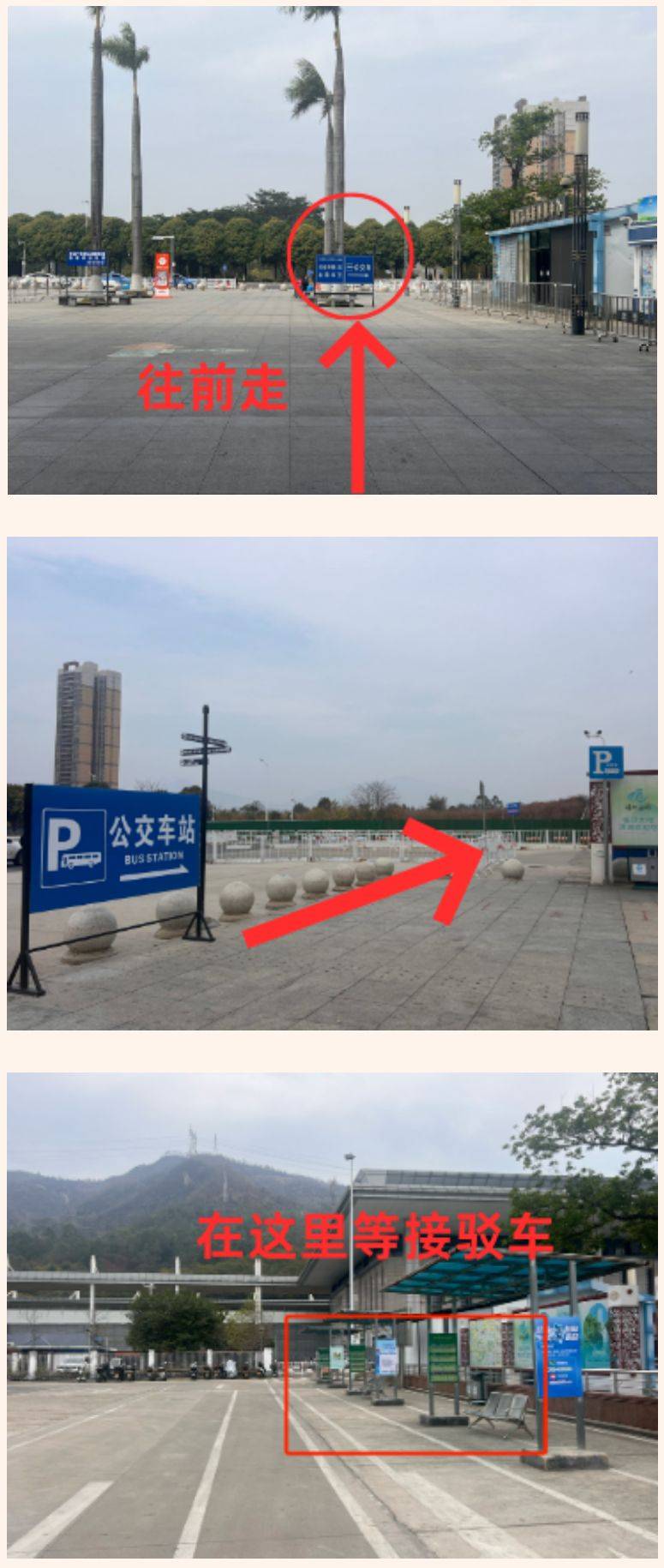 2025年清远马拉松参赛物资在哪领取？（3）
