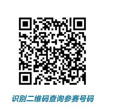 2025潍坊世界风筝都乐跑嘉年华参赛号码查询入口