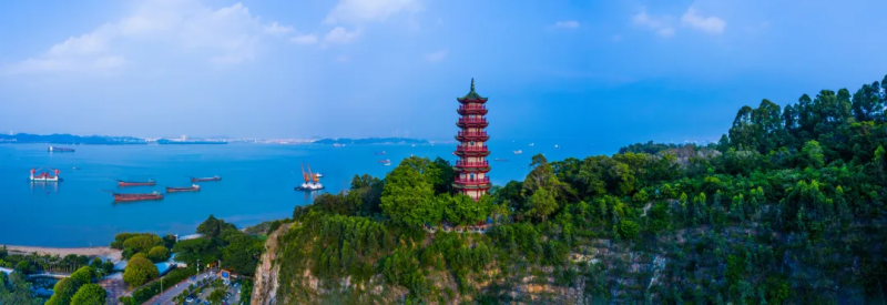 2025粤港澳大湾区灯会迷你马拉松(赛事规程)（4）