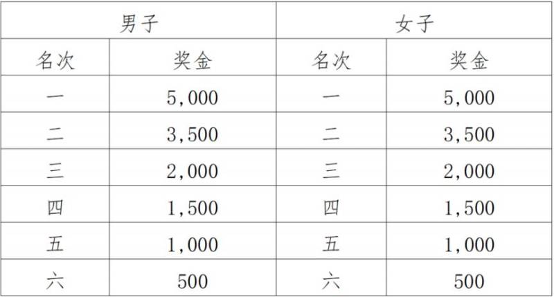 东莞2025虎门半程马拉松竞赛规程(6) 东莞2025虎门半程马拉松竞赛规程(6)