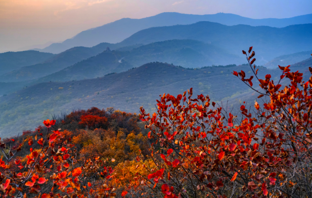 2026西山迎新徒步大会(赛事规程)(18) 2026西山迎新徒步大会(赛事规程)(18)