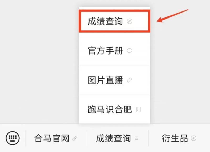 2025合肥马拉松成绩查询入口+证书下载入口 2025合肥马拉松成绩查询入口+证书下载入口