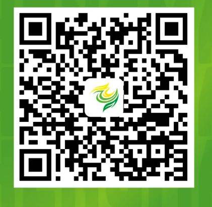 2025澄迈半程马拉松参赛号码查询指南（入口+流程）