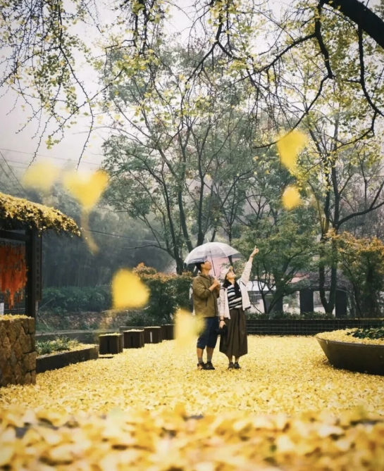 2025莫干庾街首届趣味定向赛(赛事规程)(2) 2025莫干庾街首届趣味定向赛(赛事规程)(2)