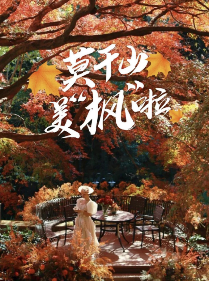 2025莫干庾街首届趣味定向赛(赛事规程) 2025莫干庾街首届趣味定向赛(赛事规程)