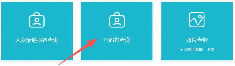 2025年南宁马拉松参赛号查询官网网址入口