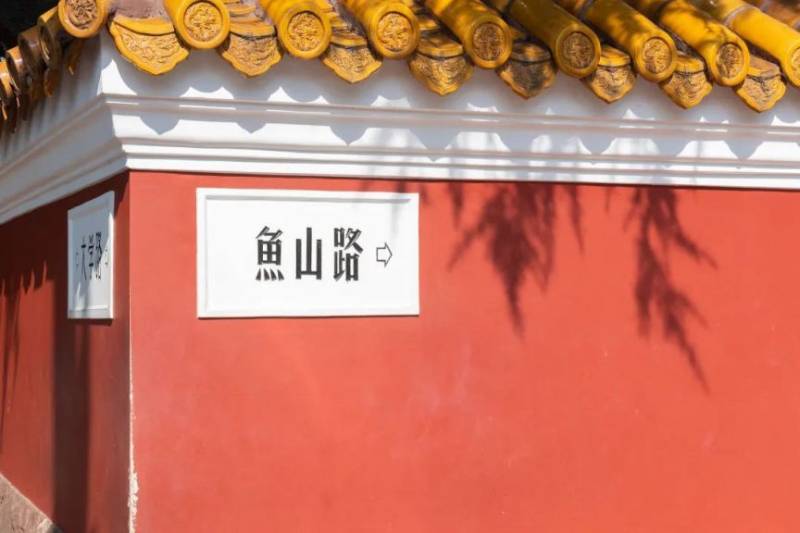 2026青岛马拉松沿途风景